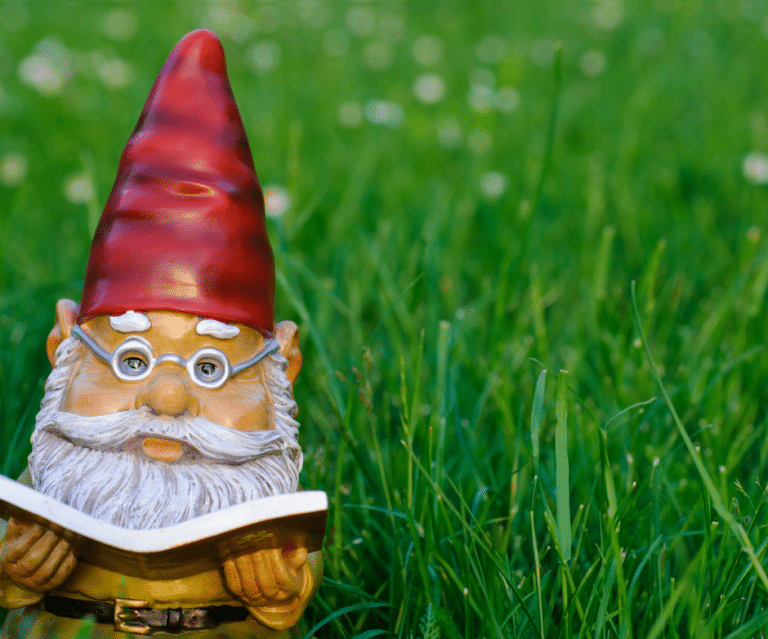 Gnome